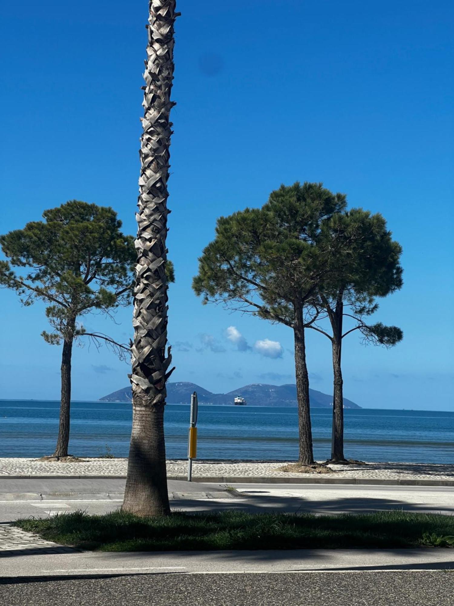 Appartement Sea La Vie